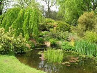 landelijke tuin
