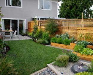 Moderne tuin